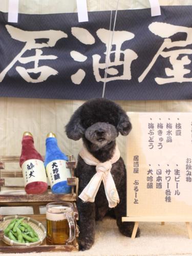 20240618コタロウくん